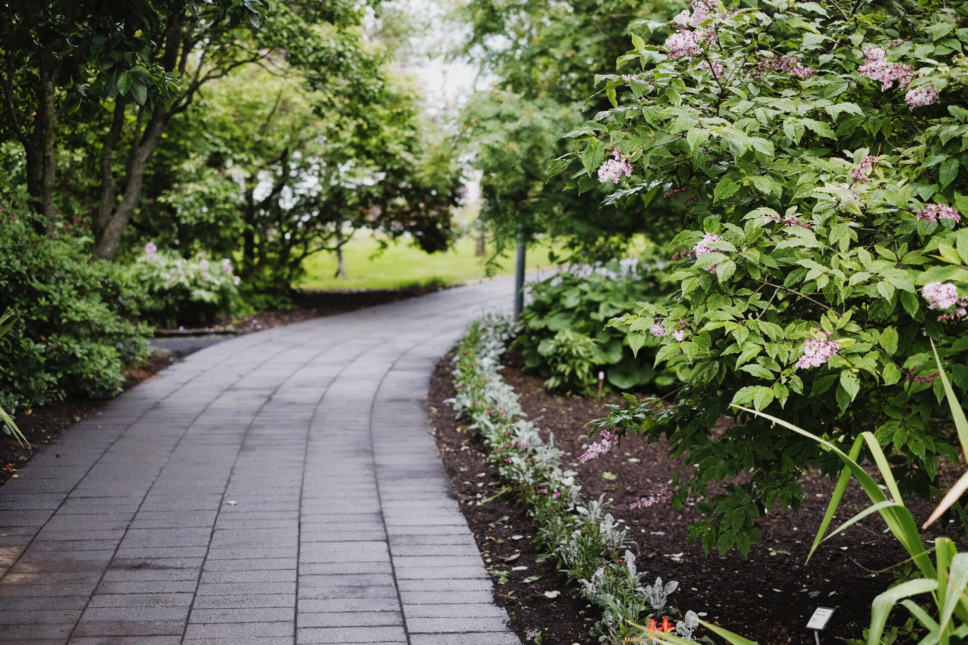 Park walk path